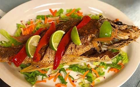 Pargo Entero / Whole Snapper